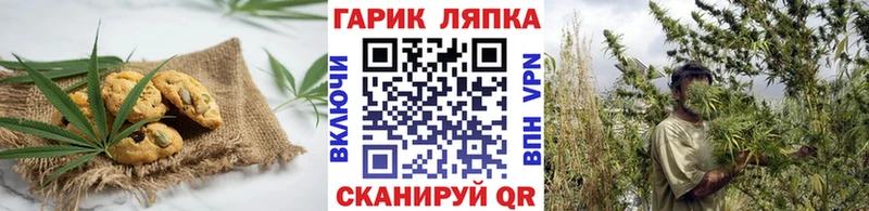 как найти наркотики  Белая Холуница  MEGA ССЫЛКА  Печенье с ТГК марихуана 